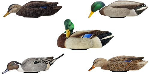 Avian X Power Swimmer Mallards Multi-Color