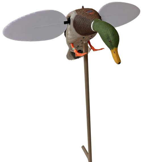 Mojo Silver Mallard "25th Anniversary" Decoy