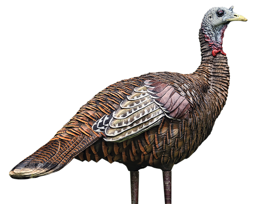 Allen Earth Tone Handgun Case made of Endura with Textured Green Finish, Full Length Zipper & Foam Padding 13" L AVX-AVX8006