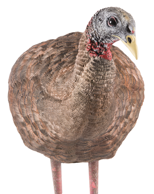 Allen Earth Tone Handgun Case made of Endura with Textured Green Finish, Full Length Zipper & Foam Padding 13" L AVX-AVX8008