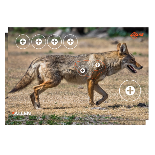 EZ-Aim Four Color Coyote Paper Hanging 23" x 35" Multi-Color 2 Per Pkg